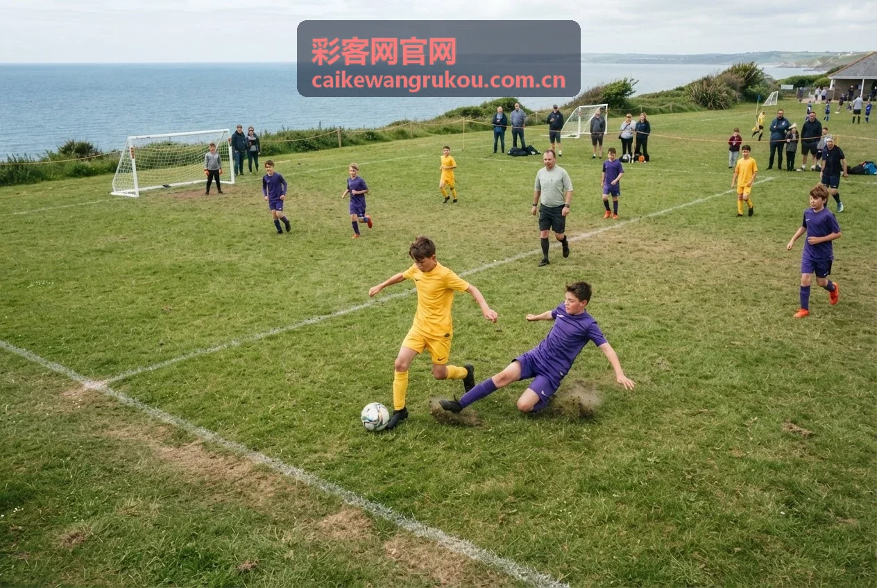 彩客网官网数据安全保障